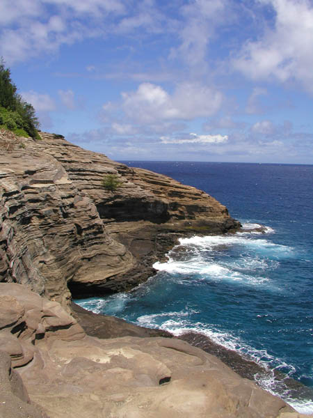 P8084021