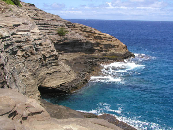 P8084022