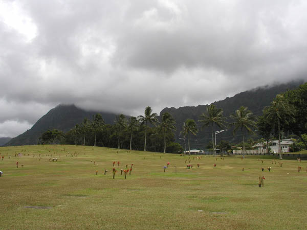 P8084038