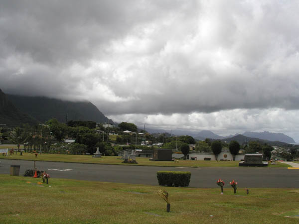 P8084039