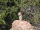 P8124065