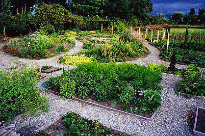 garden herbs
