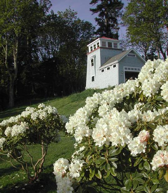 Mucci Truckess Architecture: Whidbey Getaway - Adjacent Tower