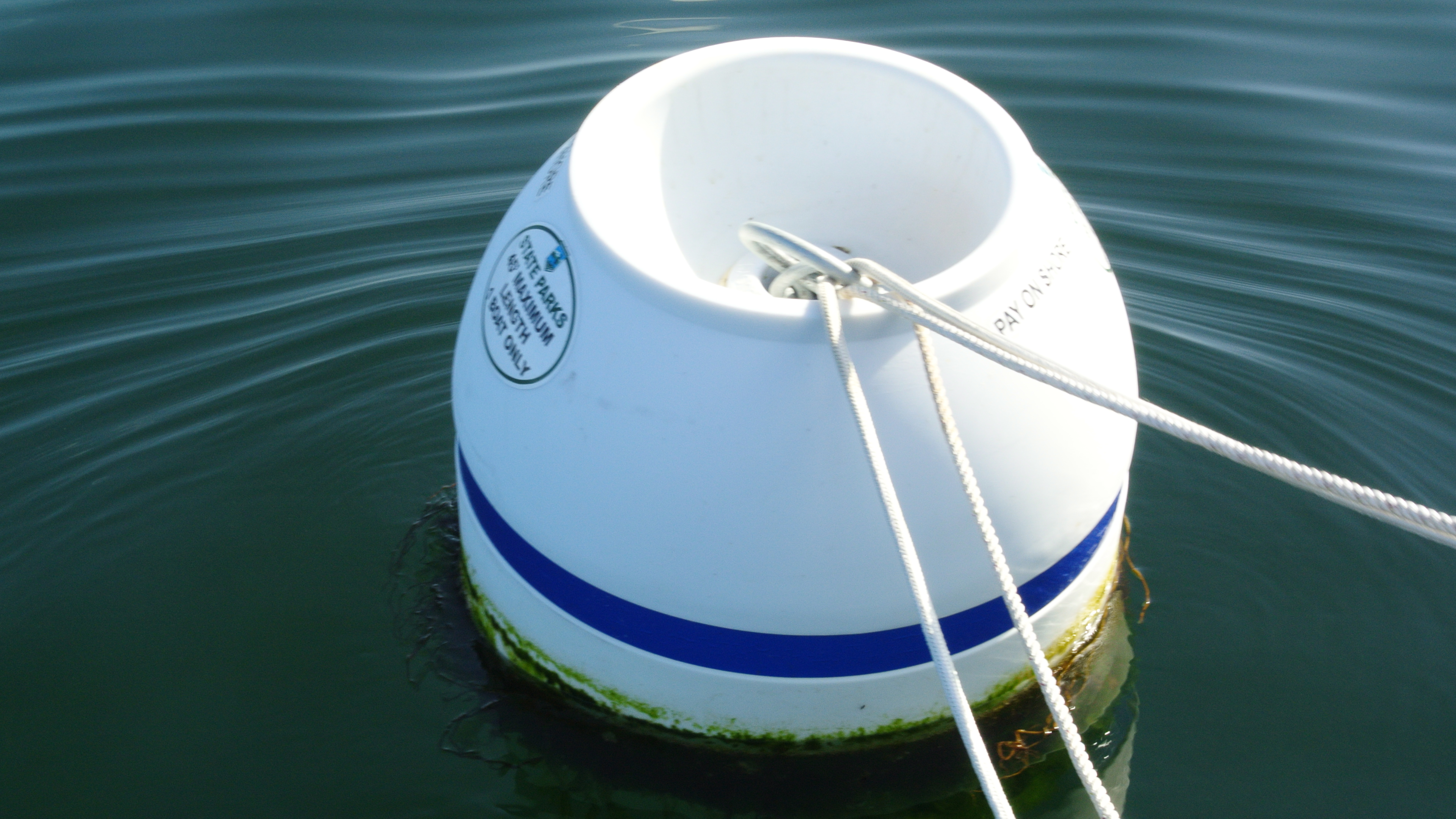 Park Buoy