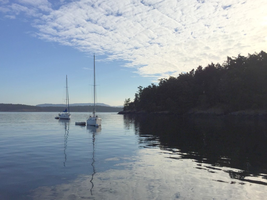 On a buoy outside Friday Harbor.