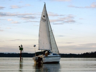 Murrelet racing PHRF