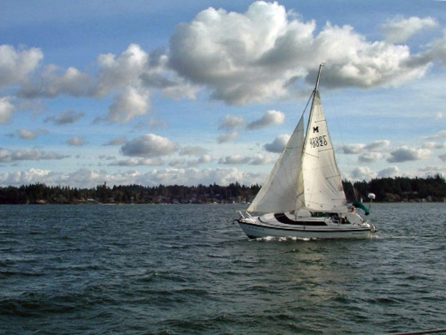 HOPE ISLAND RACE 2004
believe it, Mac26x cruisers can 
finish with the race fleets.
On this race Murrelet finished 
about an hour faster than expected
and initially recorded.