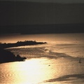 water1
