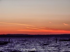 ALIEN SUNSET