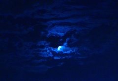 bluemoon