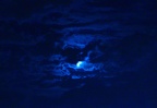 bluemoon