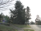 IMG 0084