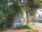 IMG 0087