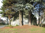 IMG 0100