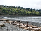 IMG 0621