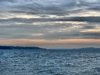 IMG 0818