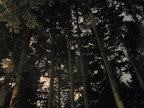 IMG 0938