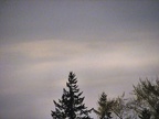 IMG 0952