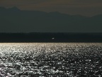 IMG 4106