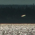 IMG 4107ufo
