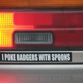 PokeBadgersSmall