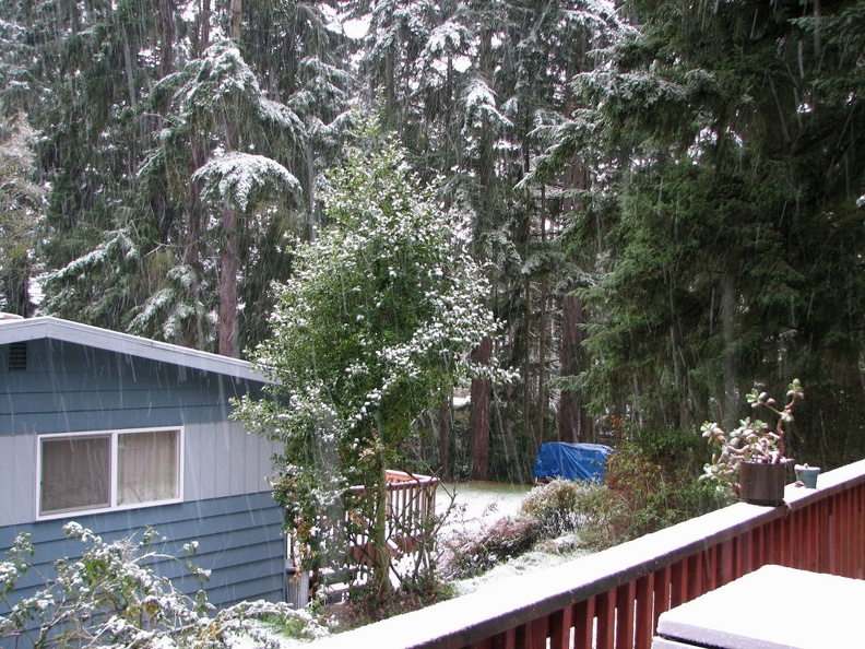 snow-anthonys.jpg