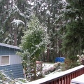 snow-anthonys