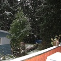 snow-anthonys-flash