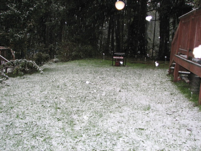 snow-backyard.jpg
