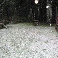 snow-backyard