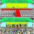 marijuana-laws