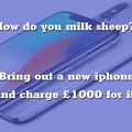 milkingsheep