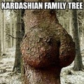 kardashian-family-tree