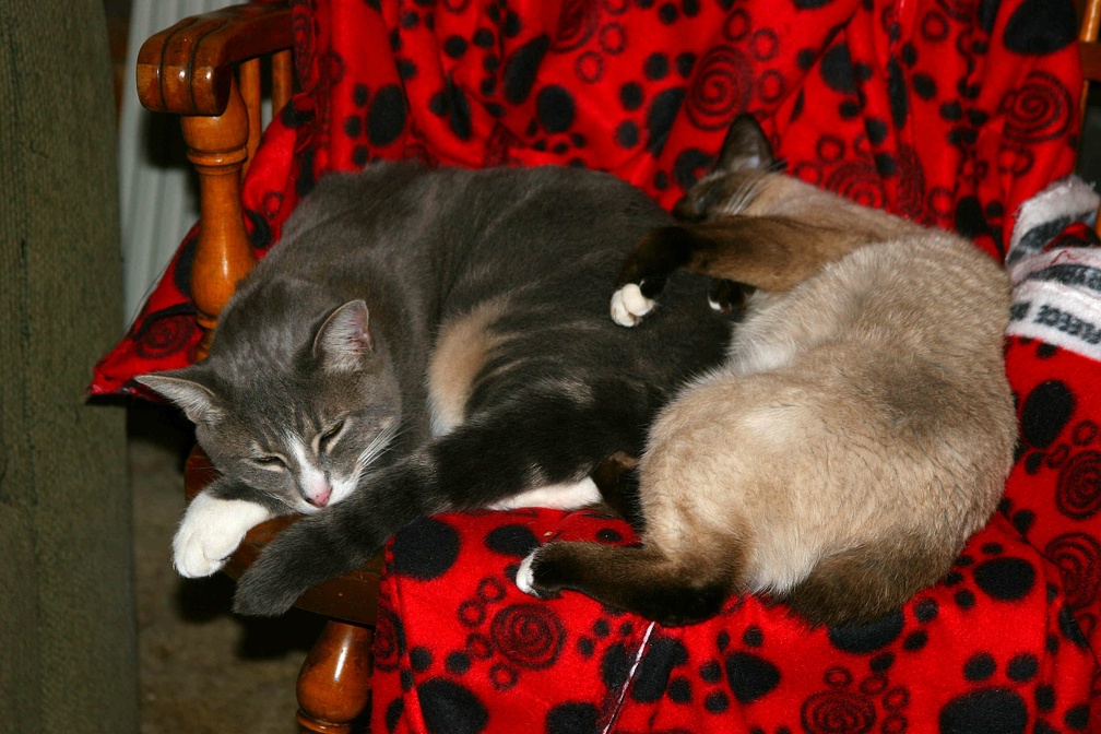 Lucas and Tulip Full Grown