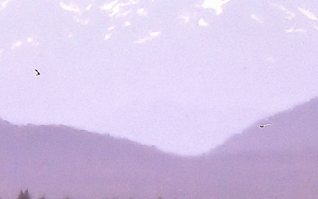 ufo.jpg