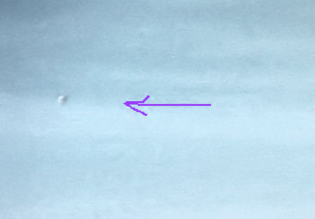 ufo-ferry.JPG