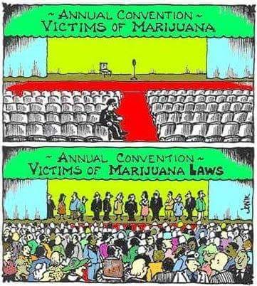 marijuana-laws