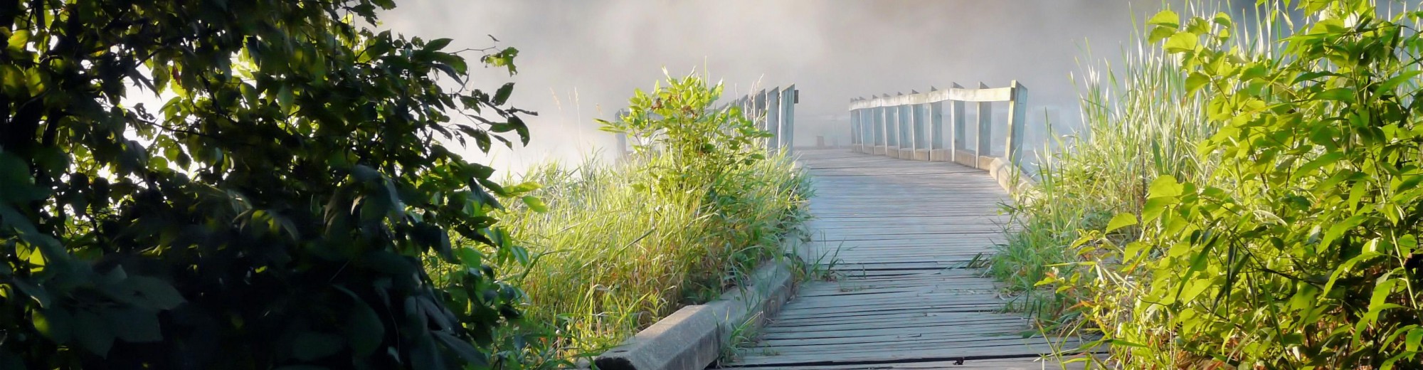 Science & Technology