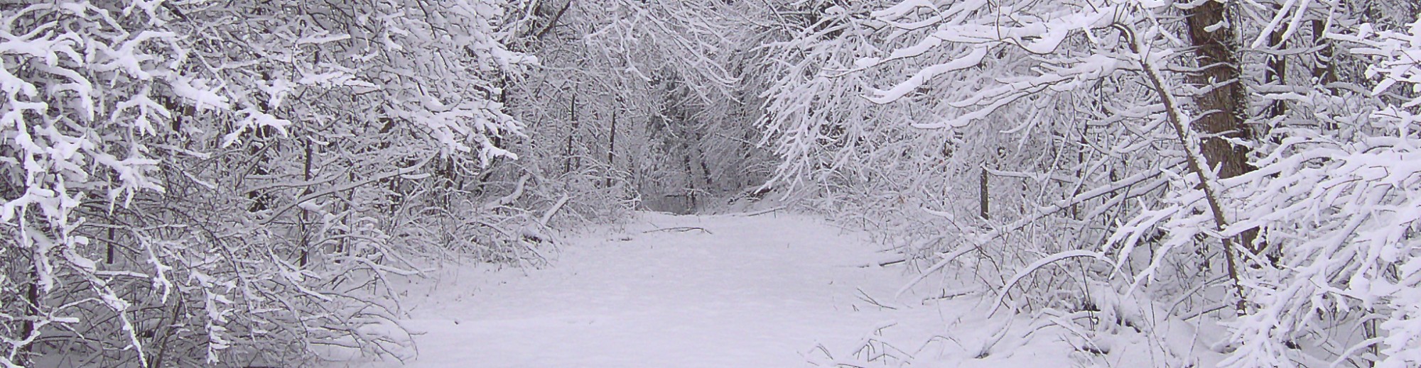 Science & Technology