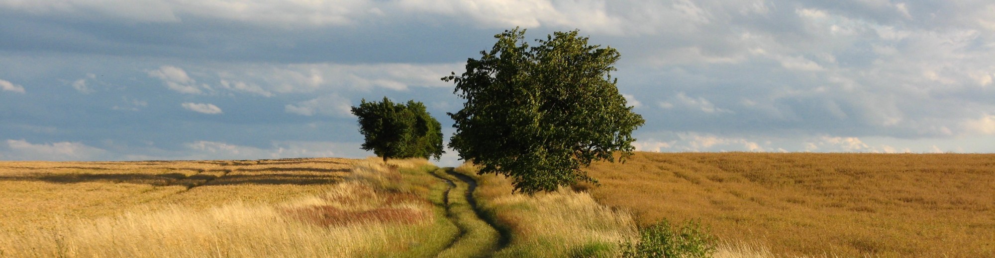 Science & Technology