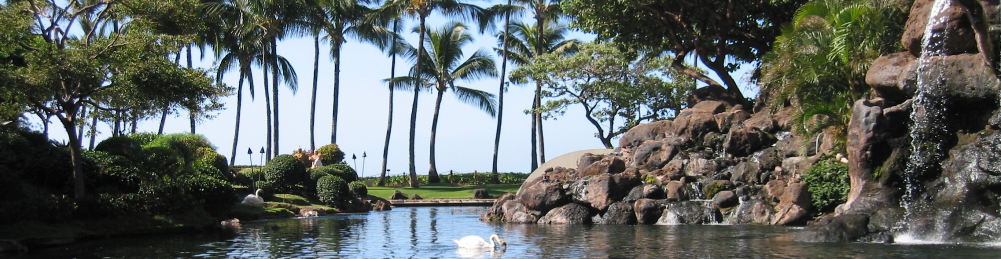 Science & Technology