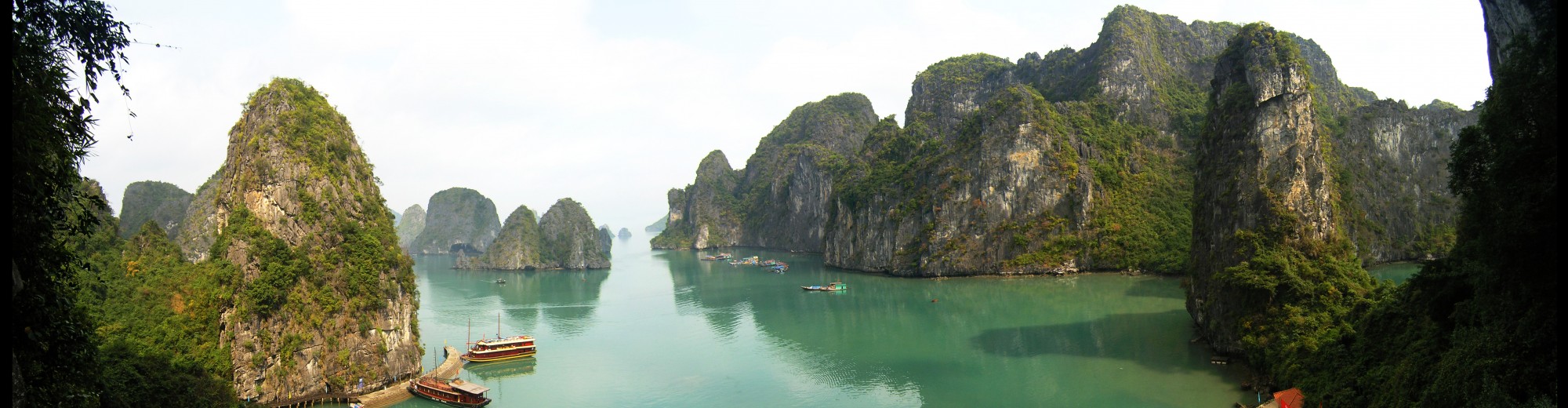 Science & Technology