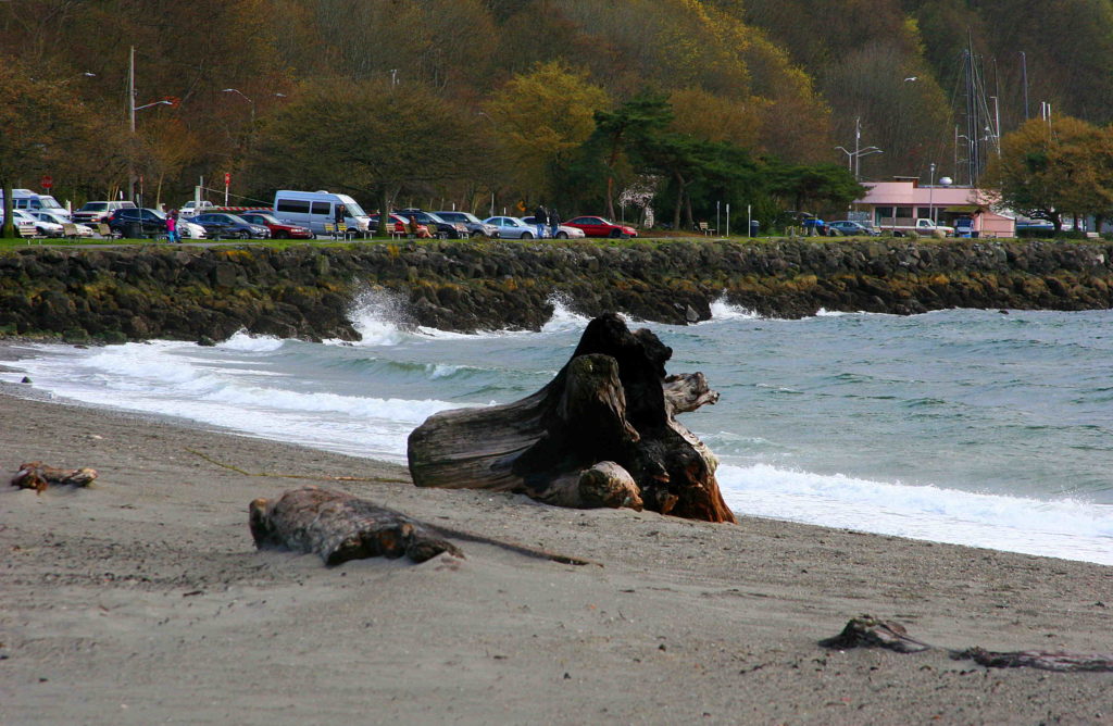 Golden Gardens Beach