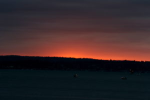 IMG_1356