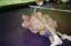 Img006_Joe-DavidG.jpg