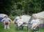 Img008c_Chris-Rob-Bob.jpg