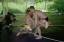 Img018_Scott-David-Mike.jpg