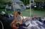 Img020_Scott-David-Mike-Kevin.jpg
