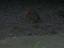 HILLSIDE000103.JPG