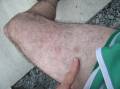 R7272935.JPG